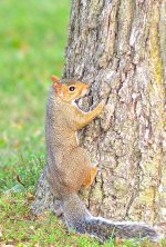 DSC_7792.jpg