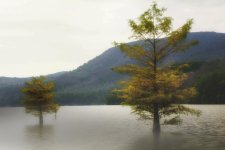 Ocoee River & Mountains--5.jpg