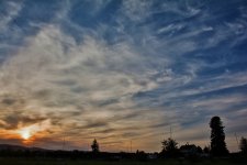 710_3798 (1000x667).jpg