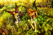 NEW_8043_HDR#2_webshot.jpg