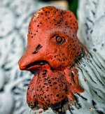 chicken-f-1.jpg