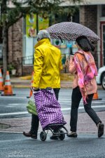 20140913-D71_4987-Edit.jpg