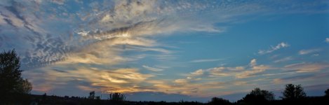 710_3810 Stitch (1000x320).jpg