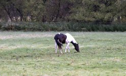 DSC_0001.jpg