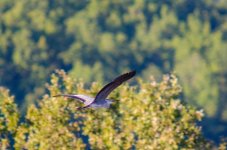 20140912-Long legs.jpg