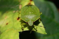 DSC_8170_edited.jpg