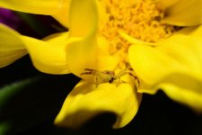 DSC_8180_edited.jpg