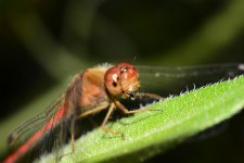 DSC_8194_edited.jpg