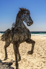 NEW_8058_webshot.jpg