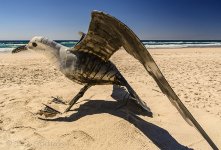 NEW_8067_webshot.jpg