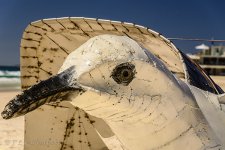 NEW_8069_webshot.jpg
