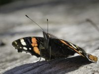 090-Edit.jpg