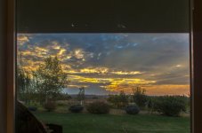 710_3820 (1000x667).jpg