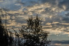 DSC_4931 (1000x662).jpg