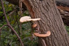 DSC_1693.jpg