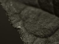072-Edit.jpg