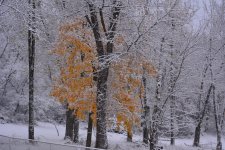 DSC_0711.jpg