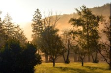 Morning Fog2.jpg