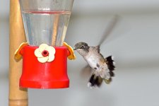 DSC_7910.jpg