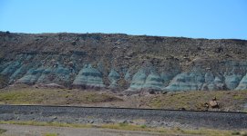 DSC_7382.JPG