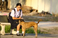 dog-feeding-1.jpg