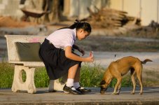 dog-feeding-4.jpg