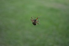 DSC_0697.jpg