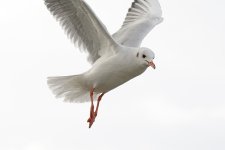 DSC_8155.jpg
