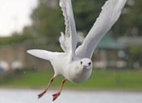 DSC_8159.jpg