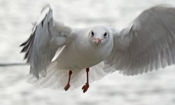 DSC_8169.jpg