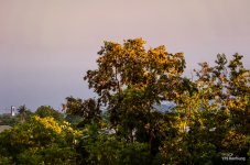 banbung-sunset3-4.jpg