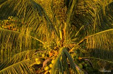 banbung-sunset4-2.jpg