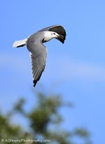 _DSC6097.jpg