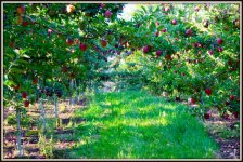 DSC_5127.jpg