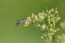 DSC_8179.jpg