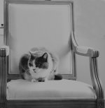 DSC_4739 Black & White.jpg