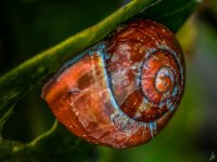 095-Edit-Edit-2.jpg