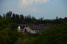 no-85-1.jpg
