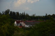 yes-85-1.jpg