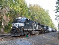 DSC_1822.jpg