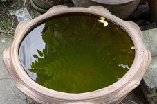 reflection-1.jpg