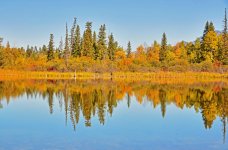 fall relflection_edited-1.jpg