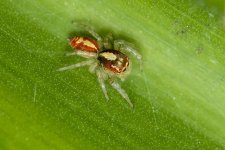 DSC_6794.jpg