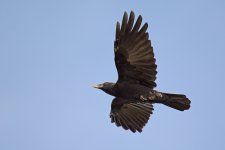 DSC_8371.jpg