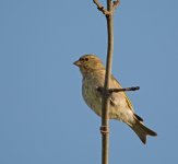 DSC_8289.jpg