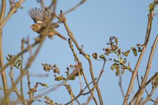 DSC_8284.jpg