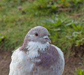 DSC_0003.jpg
