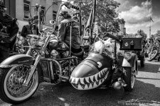 20140920-E60_0804-B&W.jpg
