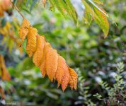 Fall Colours_04_edit.jpg