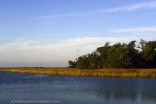 _DSC6529.jpg